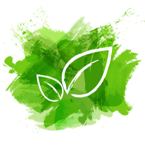Eco Friendly Pest Control In The Cape Cod Area A M Paint With Leaf Symbol