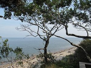 view of Ellisvile, MA state park