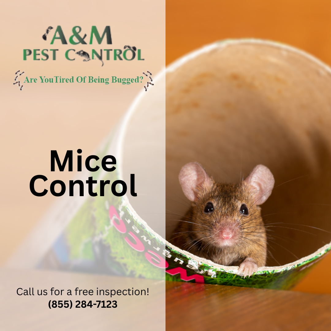 Mice